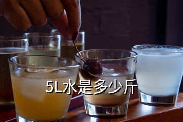 5L水是多少斤