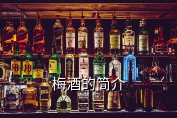 梅酒的簡(jiǎn)介