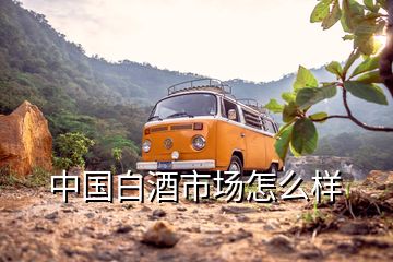 中國白酒市場怎么樣
