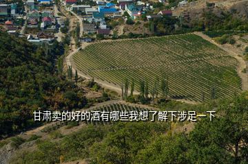甘肅賣(mài)的好的酒有哪些我想了解下涉足一下