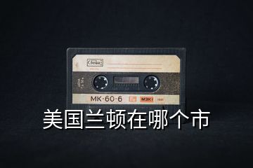 美國(guó)蘭頓在哪個(gè)市