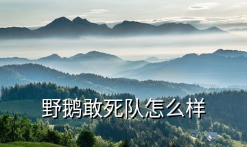 野鵝敢死隊(duì)怎么樣
