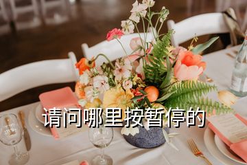 請(qǐng)問(wèn)哪里按暫停的
