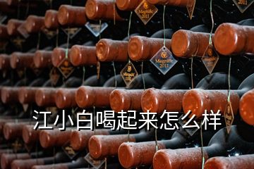 江小白喝起來怎么樣