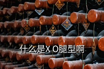 什么是X O腿型啊