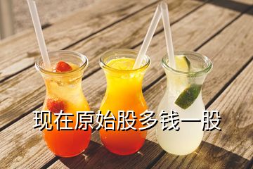 現在原始股多錢一股