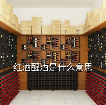 紅酒醒酒是什么意思