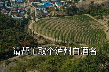 請幫忙取個(gè)瀘州白酒名
