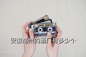 安徽亳州的酒廠有多少個(gè)