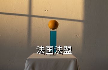 法國(guó)法盟