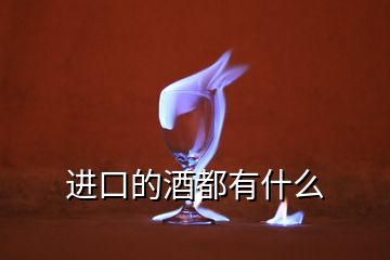 進口的酒都有什么