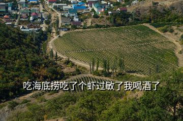 吃海底撈吃了個(gè)蝦過敏了我喝酒了