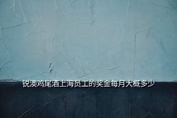 銳澳雞尾酒上海員工的獎金每月大概多少