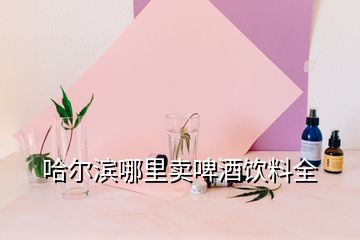 哈爾濱哪里賣(mài)啤酒飲料全