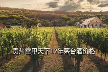 貴州富甲天下12年茅臺(tái)酒價(jià)格