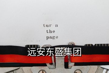 遠安東盛集團