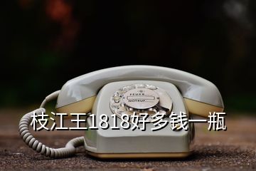 枝江王1818好多錢(qián)一瓶