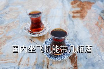 國內(nèi)坐飛機(jī)能帶幾瓶酒