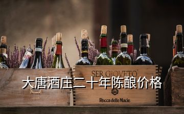 大唐酒莊二十年陳釀價格