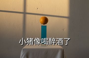 小豬像喝醉酒了