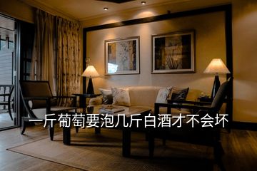 一斤葡萄要泡幾斤白酒才不會壞