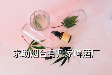 求助煙臺(tái)有幾家啤酒廠
