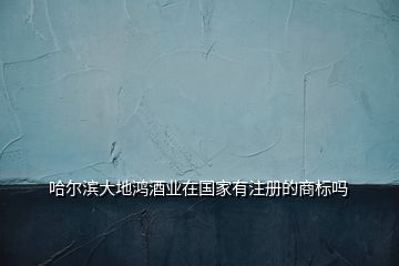哈爾濱大地鴻酒業(yè)在國家有注冊的商標(biāo)嗎