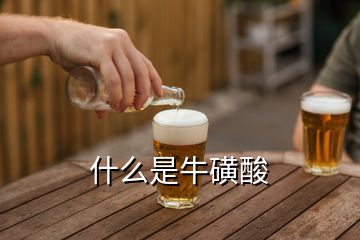 什么是?；撬?></p>
<h2 id=
