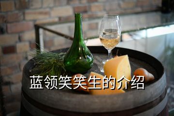 藍領笑笑生的介紹
