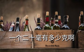 一個(gè)二十毫有多少克啊