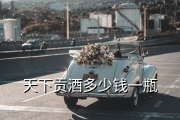 天下貢酒多少錢(qián)一瓶
