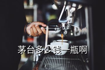 茅臺(tái)多少錢一瓶啊