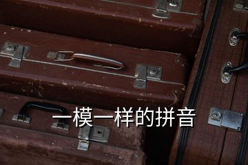 一模一樣的拼音