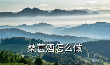 桑葚酒怎么做