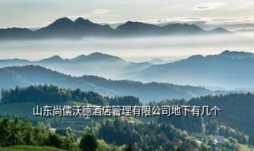 山東尚儒沃德酒店管理有限公司地下有幾個