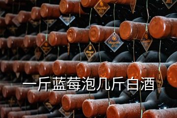 一斤藍莓泡幾斤白酒