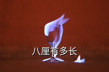 八厘有多長