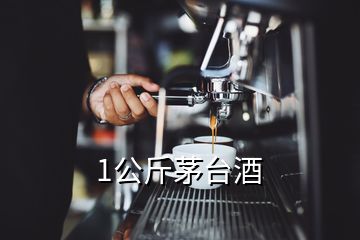 1公斤茅臺酒