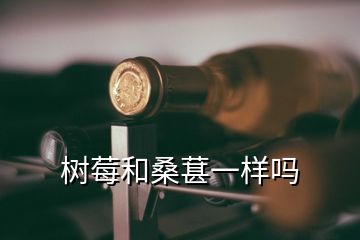 樹(shù)莓和桑葚一樣嗎