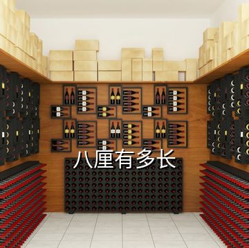 八厘有多長