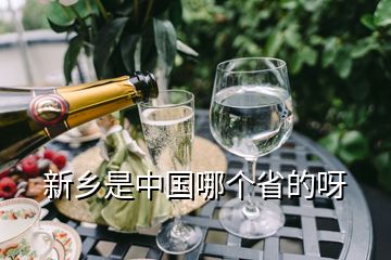 新鄉(xiāng)是中國(guó)哪個(gè)省的呀