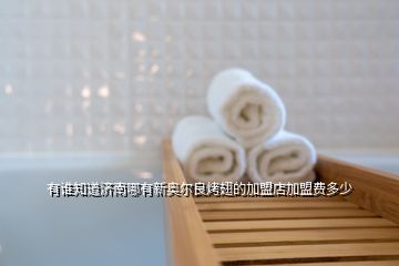 有誰知道濟南哪有新奧爾良烤翅的加盟店加盟費多少