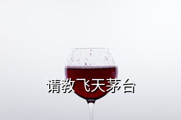 請教飛天茅臺