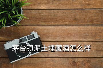 茅臺(tái)鎮(zhèn)泥土埋藏酒怎么樣