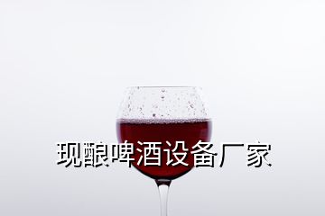 現(xiàn)釀啤酒設(shè)備廠家
