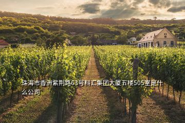 珠海市香洲紫荊路63號(hào)科匯集團(tuán)大廈五樓505室是什么公司