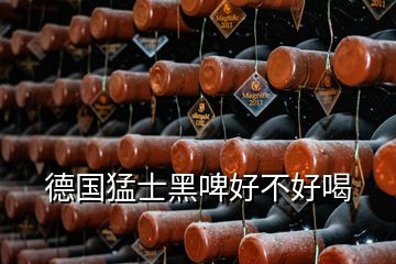 德國(guó)猛士黑啤好不好喝