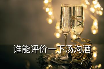 誰(shuí)能評(píng)價(jià)一下湯溝酒