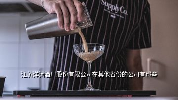 江蘇洋河酒廠股份有限公司在其他省份的公司有那些
