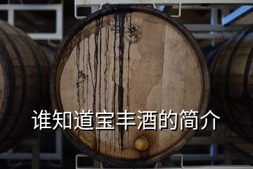 誰知道寶豐酒的簡(jiǎn)介